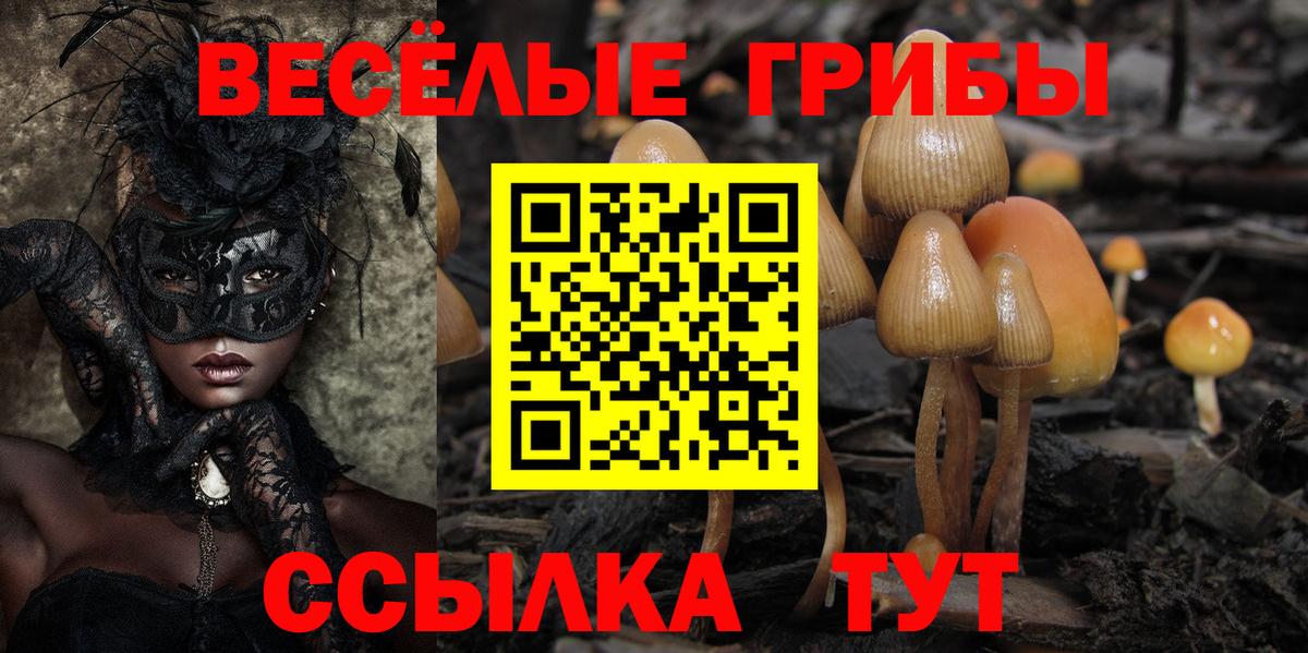Галлюциногенные грибы ЛСД  Вход с VPN  Псилоцибиновые грибы прущие грибы  купить   Зеленодольск 