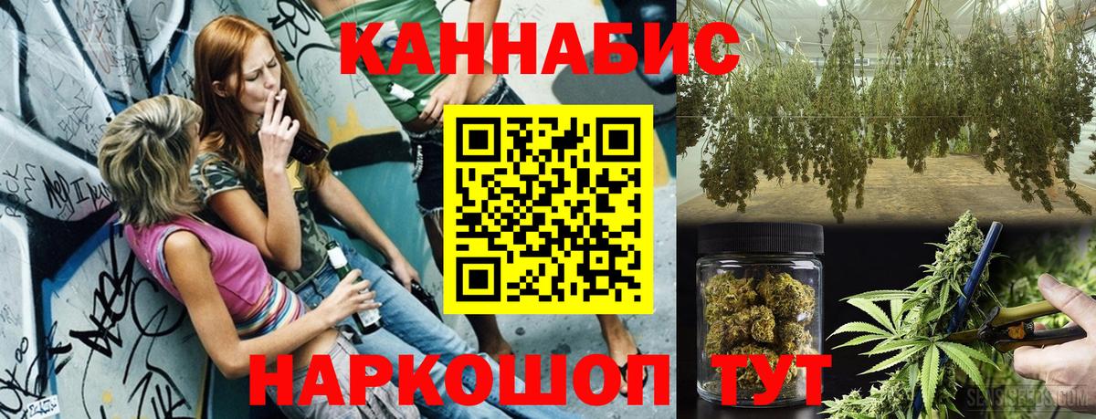 Бошки Шишки планчик  Шишки марихуана план  Вход с VPN  Зеленодольск 